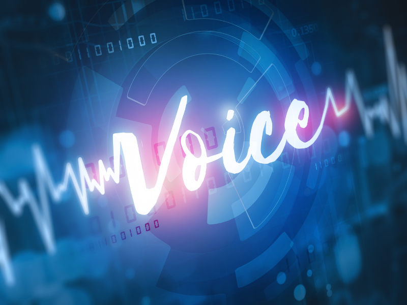 Security with Voice Biometrics