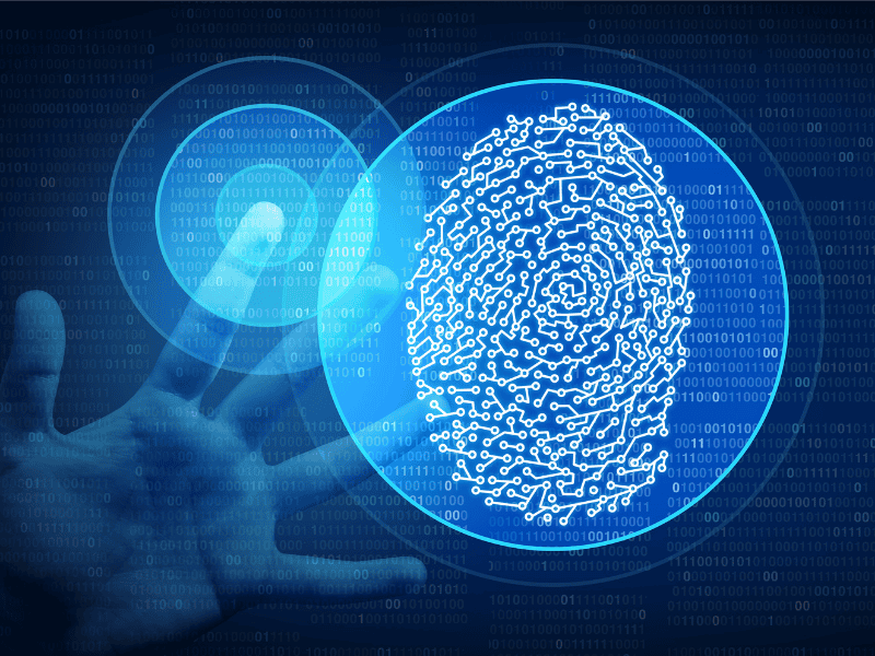 What Is Palm Biometrics?